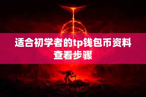 适合初学者的tp钱包币资料查看步骤