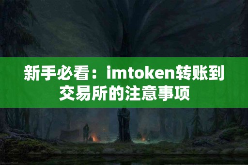新手必看：imtoken转账到交易所的注意事项