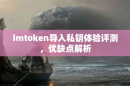 imtoken导入私钥体验评测，优缺点解析