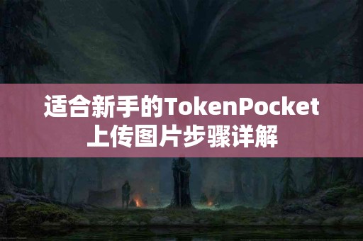 适合新手的TokenPocket上传图片步骤详解