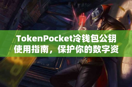 TokenPocket冷钱包公钥使用指南，保护你的数字资产
