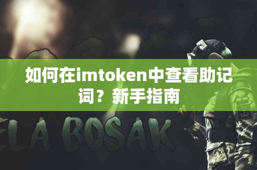 如何在imtoken中查看助记词？新手指南