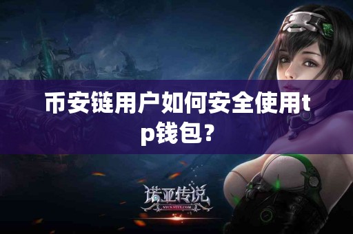 币安链用户如何安全使用tp钱包？