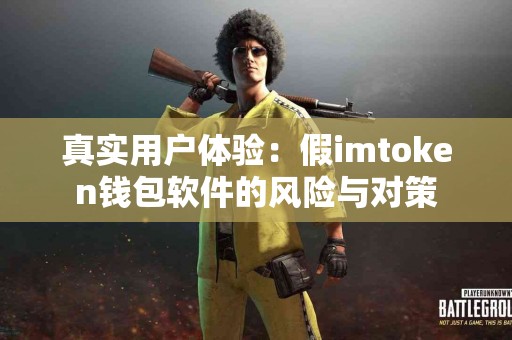 真实用户体验：假imtoken钱包软件的风险与对策