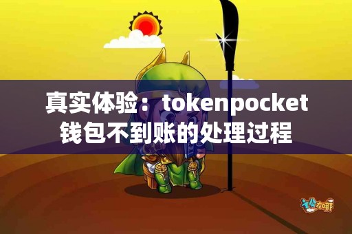 真实体验：tokenpocket钱包不到账的处理过程