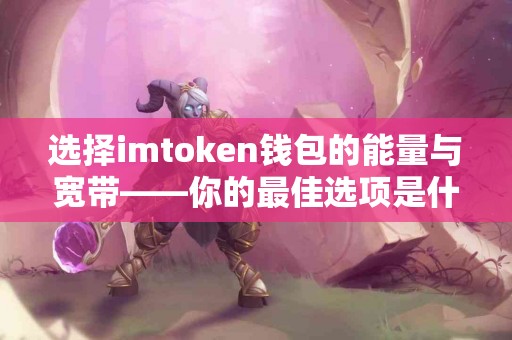 选择imtoken钱包的能量与宽带——你的最佳选项是什么？