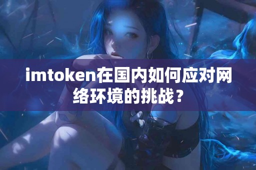 imtoken在国内如何应对网络环境的挑战？