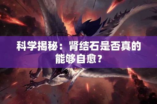 科学揭秘：肾结石是否真的能够自愈？
