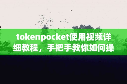 tokenpocket使用视频详细教程，手把手教你如何操作