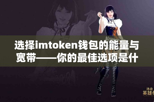 选择imtoken钱包的能量与宽带——你的最佳选项是什么？