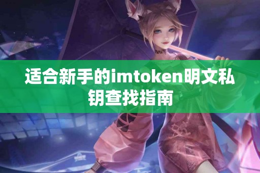 适合新手的imtoken明文私钥查找指南