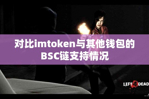 对比imtoken与其他钱包的BSC链支持情况