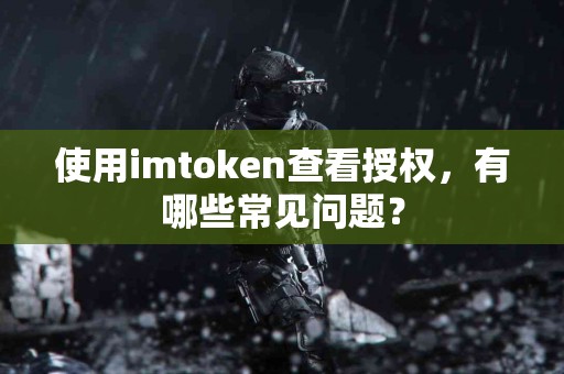 使用imtoken查看授权，有哪些常见问题？