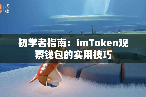 初学者指南：imToken观察钱包的实用技巧