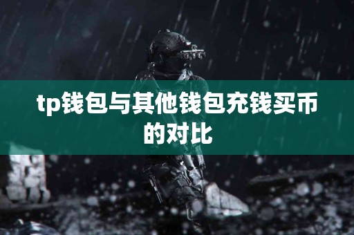 tp钱包与其他钱包充钱买币的对比