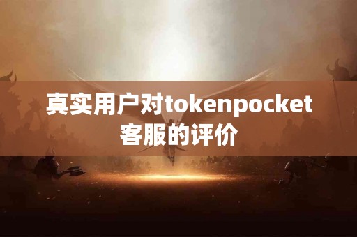 真实用户对tokenpocket客服的评价