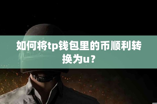 如何将tp钱包里的币顺利转换为u？