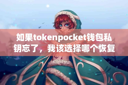 如果tokenpocket钱包私钥忘了，我该选择哪个恢复方式？