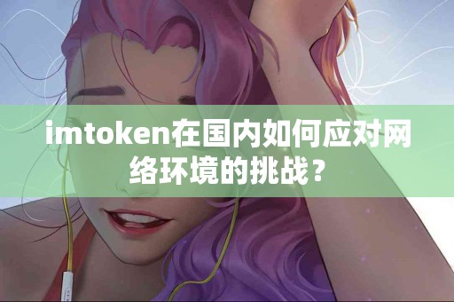 imtoken在国内如何应对网络环境的挑战？