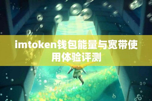 imtoken钱包能量与宽带使用体验评测
