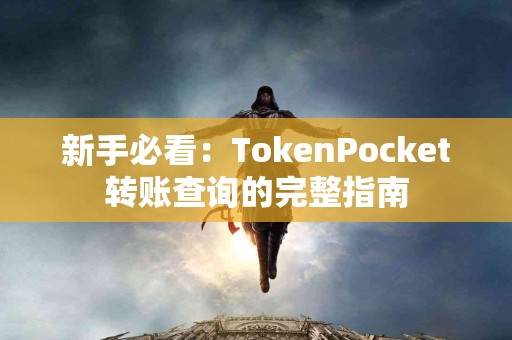 新手必看：TokenPocket转账查询的完整指南