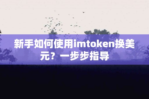 新手如何使用imtoken换美元？一步步指导