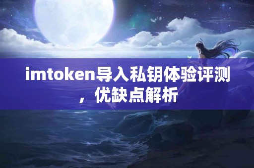 imtoken导入私钥体验评测，优缺点解析