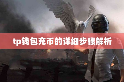 tp钱包充币的详细步骤解析
