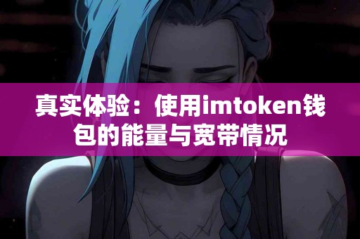 真实体验：使用imtoken钱包的能量与宽带情况