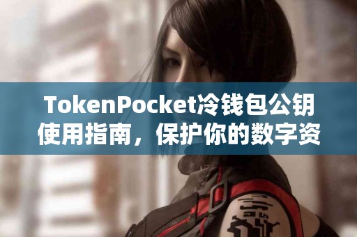 TokenPocket冷钱包公钥使用指南，保护你的数字资产
