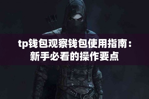 tp钱包观察钱包使用指南：新手必看的操作要点