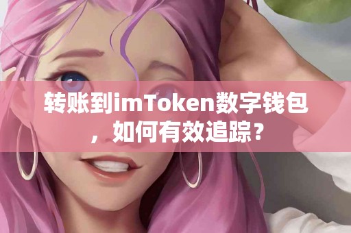 转账到imToken数字钱包，如何有效追踪？