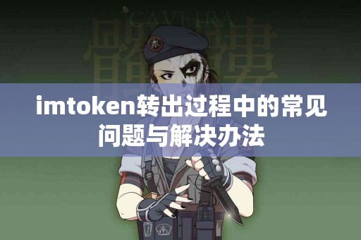 imtoken转出过程中的常见问题与解决办法