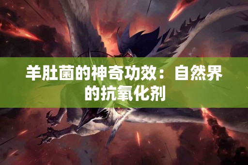 羊肚菌的神奇功效：自然界的抗氧化剂