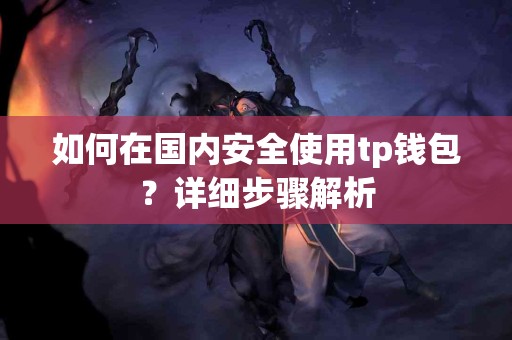 如何在国内安全使用tp钱包？详细步骤解析