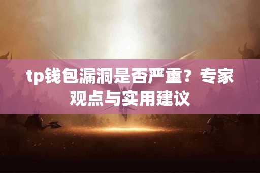 tp钱包漏洞是否严重？专家观点与实用建议