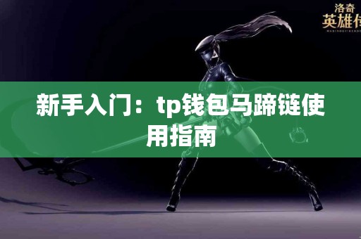 新手入门：tp钱包马蹄链使用指南